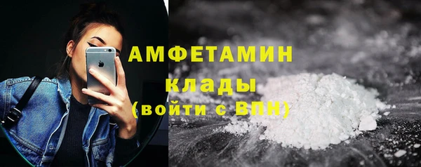 прущие грибы Козельск