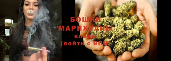 прущие крисы Вязьма