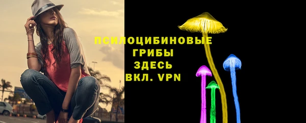 молекула духа Алексеевка