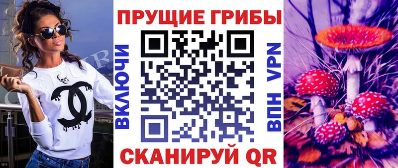 цена   Изобильный  Псилоцибиновые грибы Magic Shrooms 
